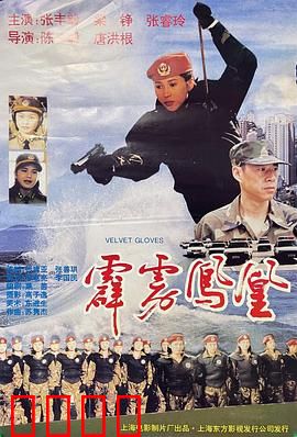 霹雳凤凰：女警复仇路