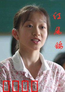 红尾鸽：血色长空