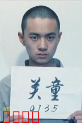 谁的孩子：身世迷途