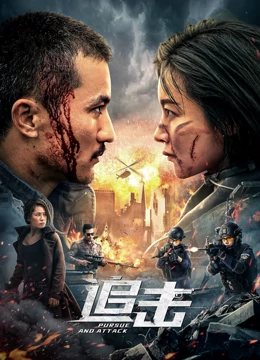 追击：亡命追凶