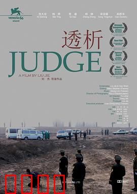 透析：正义的代价
