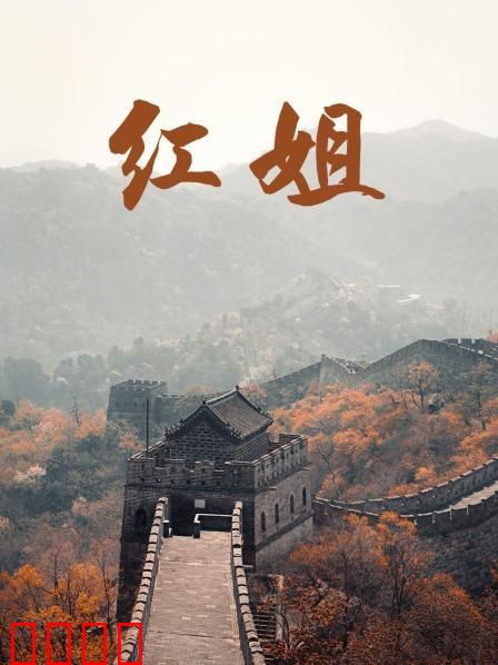 红姐2017：血色救赎