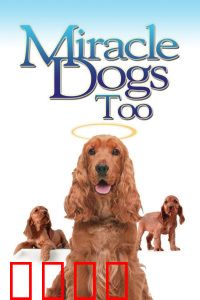 天降神犬2：神犬再现棒球场