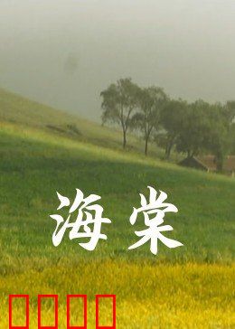海棠：花开花落