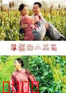 幸福的小杨屯：乡村振兴赞歌