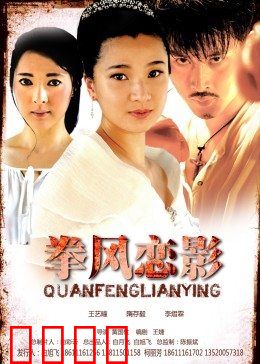 拳风恋影：热血与柔情交织