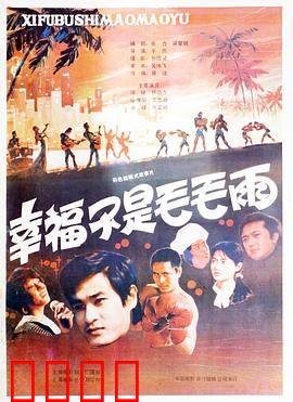 幸福不是毛毛雨：特区创业梦