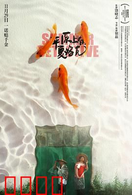 平原上的夏洛克：土味侦探爆笑破案