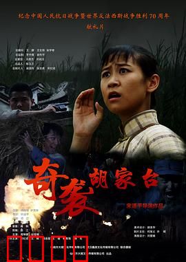 奇袭胡家台：智勇斩首夜袭