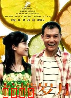 柠檬岁月：酸涩青春回忆录