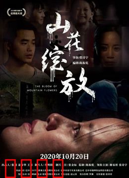 山花绽放：支教路上的青春
