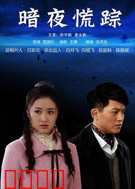 暗夜慌踪：迷失黑夜