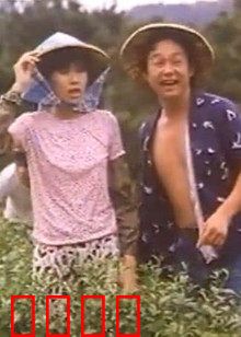 小美我爱你：青春无悔的爱恋