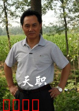 天职2012：正义的抉择
