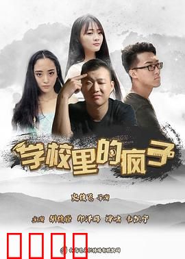 学校里的疯子第五季：最终疯狂