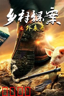 乡村探案之外来者：神秘的访客