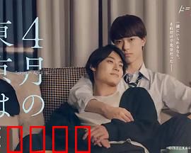 4月的东京…：樱雨中的重逢