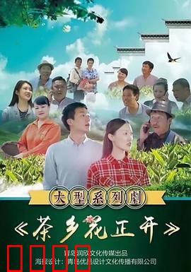 茶乡花正开：青春创业路