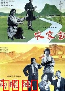 农家宝：合作社的致富经