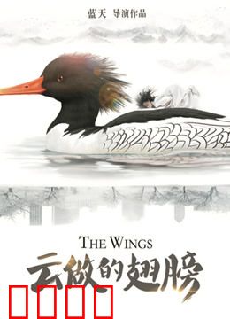 云做的翅膀：梦想照进现实