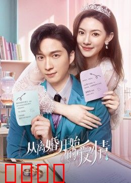 从离婚开始的爱情：破镜重圆