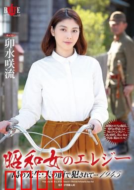 昭和女 爱情悲歌 HBAD：命运交织的哀歌