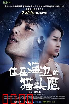 住在海边的猫头鹰：治愈孤独的奇妙之旅