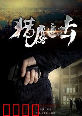 猎鹰追击：铁血复仇