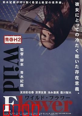 青春H2之狂野之花：叛逆少女的燃情逆袭