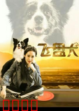 飞盘犬：逆袭冠军路