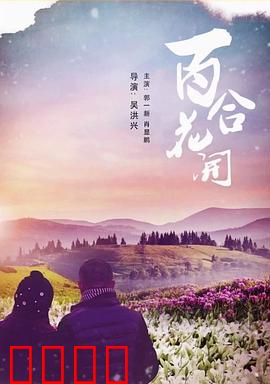 《百合花开》：逆境绽放