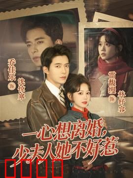 一心想离婚，少夫人她不好惹：豪门逆袭