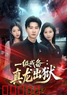 一级戒备：特工逆袭